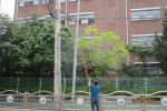 개학기 학교주변 유해환경 정비1.JPG