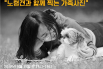 반려견.png