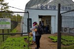 배추모종1-1.jpg