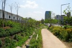 마포구 숲1--1.jpg