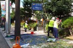 구로구, 은행나무 열매 조기 채취 작업 실시 2.jpg