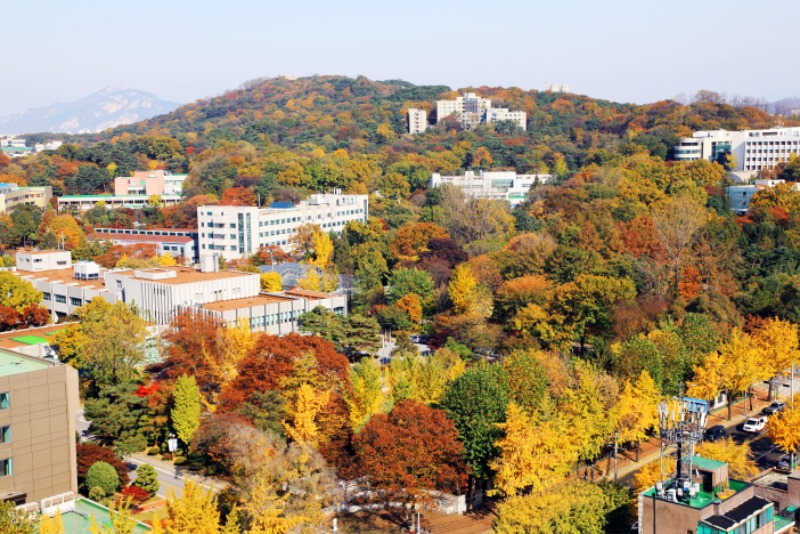 이번에 숲길이 조성되는 천장산 전경.jpg