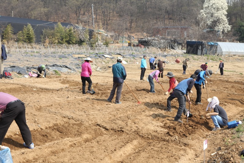 도시농부 양성 자료사진.jpg